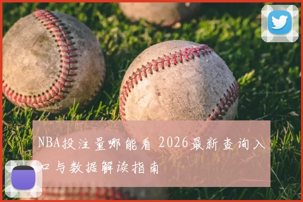 NBA投注量哪能看 2026最新查询入口与数据解读指南