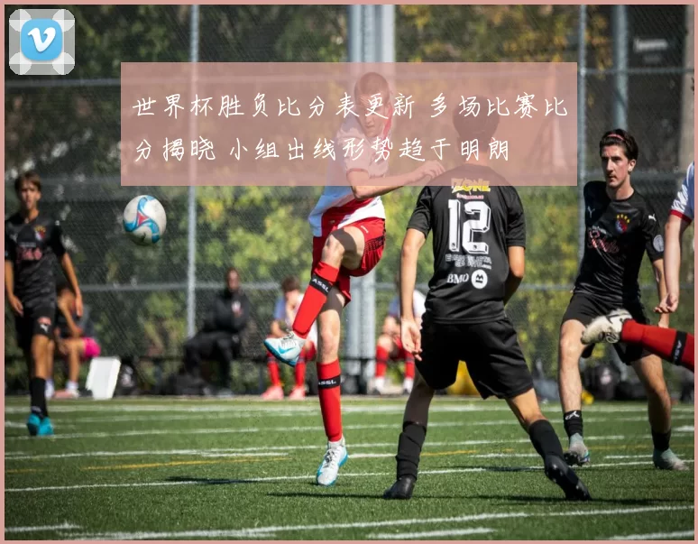 世界杯胜负比分表更新 多场比赛比分揭晓 小组出线形势趋于明朗