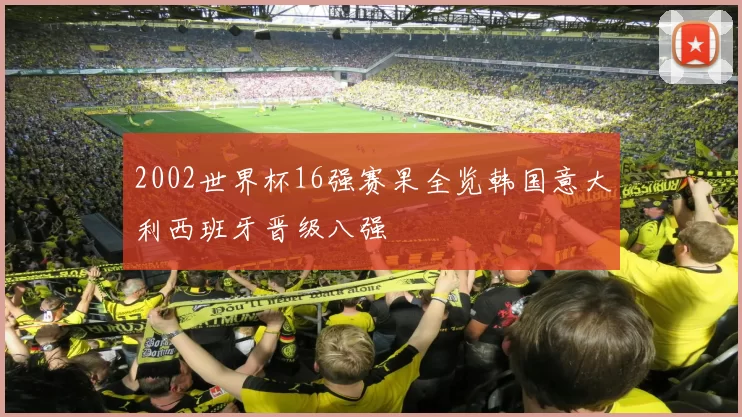 2002世界杯16强赛果全览韩国意大利西班牙晋级八强